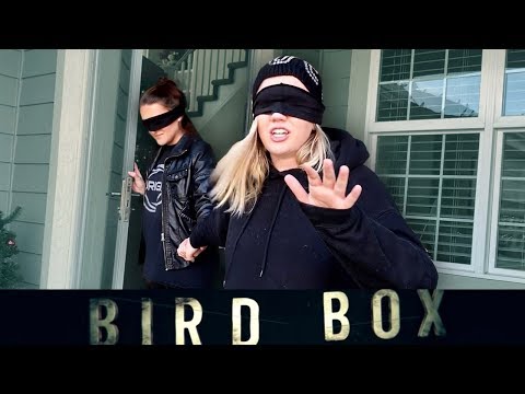 Bird Box Challenge : le nouveau défi Facebook idiot qui va faire des morts #2