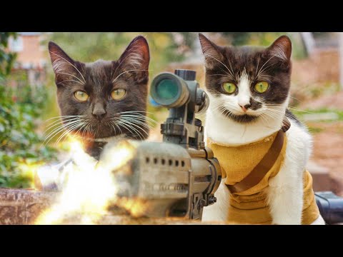 Cats vs Zombies : ça va saigner #3