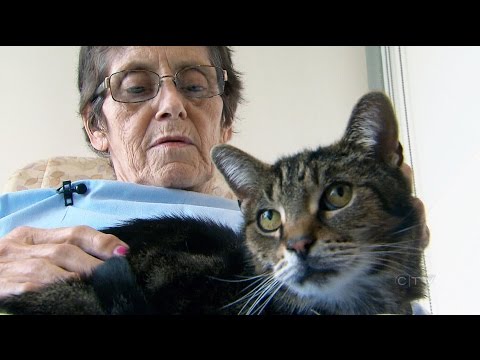 Depuis que cet hôpital accepte les visites d’animaux ses patients vont mieux #5