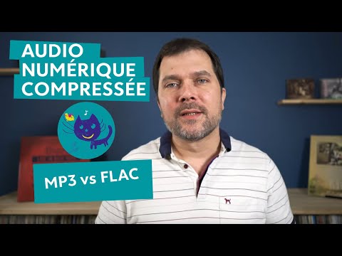 Offre de streaming musical : quelle qualité audio choisir, Hi-Fi ou Hi-Res ? #4