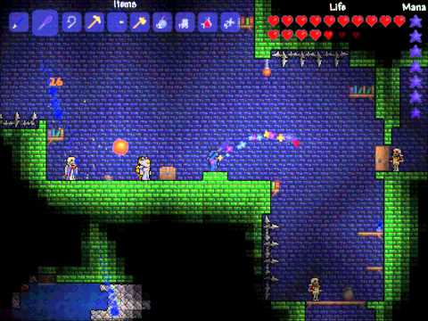 Terraria confirmé sur 3DS et Wii U